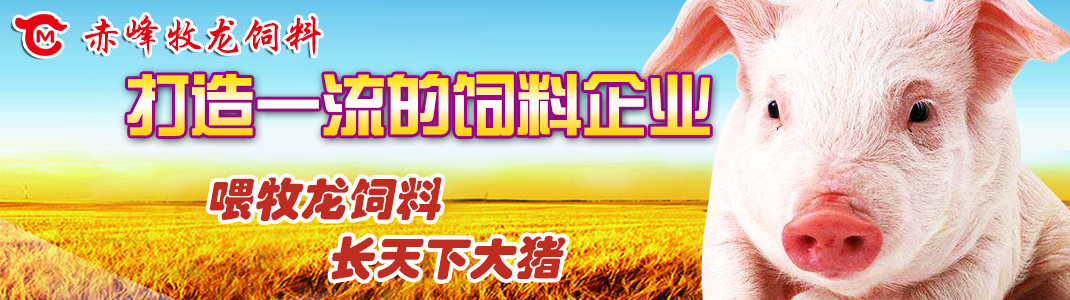 山東岱東人力資源管理有限公司 